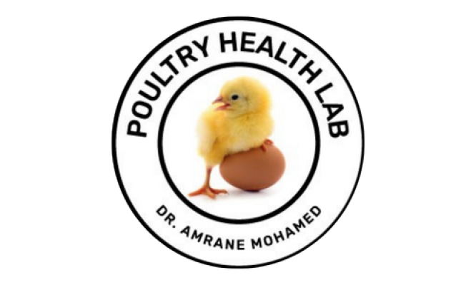 Design sans titre (3)